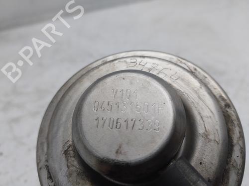 Egr SEAT IBIZA III (6L1)  | BP18306834M69 