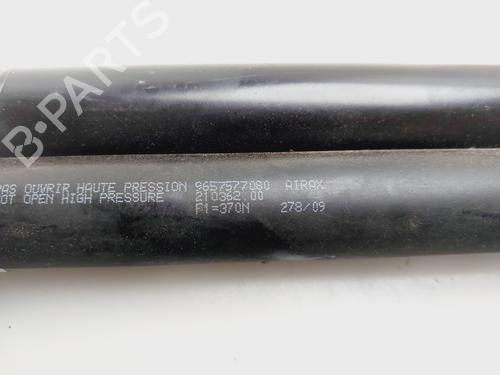 Gasdæmper bagklap CITROËN XSARA PICASSO (N68) 1.6 HDi | BP29815625C138 