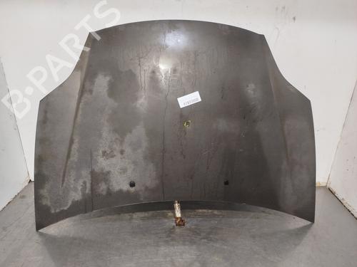Capot FIAT BRAVO II (198_) 1.9 D Multijet (198AXB1A) (120 hp) 32345346