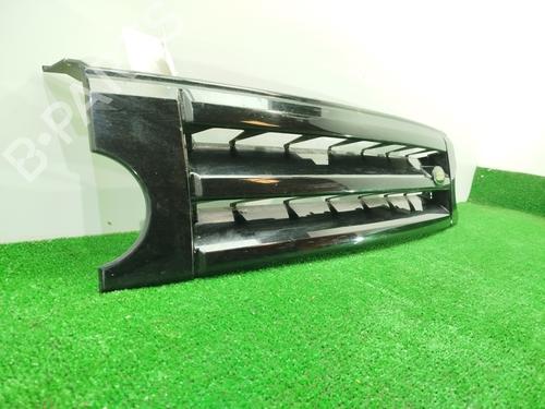 Grille LAND ROVER DISCOVERY III (L319) 2.7 TD 4x4 | BP29408356C40 