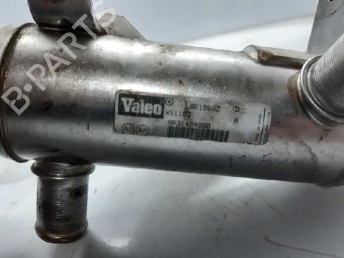 Egr PEUGEOT 406 Coupe (8C) 2.2 HDI | BP13996698M69 