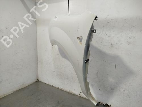Left front fenders RENAULT KANGOO / GRAND KANGOO II (KW0/1_) 1.5 dCi 70 (KW0V, KW0A) | BP29704676C41 