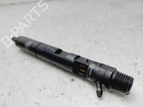 Injector RENAULT MEGANE II (BM0/1_, CM0/1_)  | BP28289220M100 
