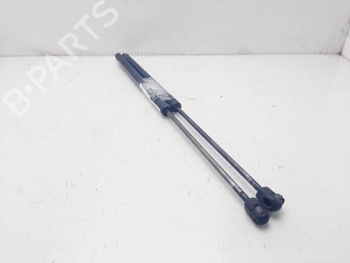 Tailgate lift support FORD FIESTA VI (CB1, CCN) 1.4 TDCi | BP22389559C138 