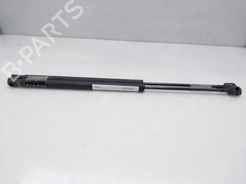 Used Tailgate lift support RENAULT SCÉNIC II (JM0/1_) 1.5 dCi (JM1E, JM16) (106 hp) 14515375