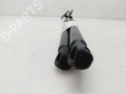 Tailgate lift support FORD FIESTA VI (CB1, CCN)  | BP24800604C138 