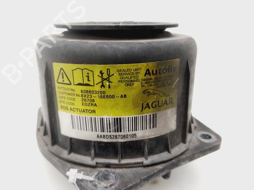 Electronic module JAGUAR XF I (X250) 2.7 D | BP30512509M83