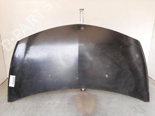 Panser RENAULT CLIO III (BR0/1, CR0/1) 1.4 16V (98 hp) 10540955