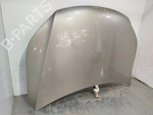 Hood VW TIGUAN (5N_)  | BP24641932C1
