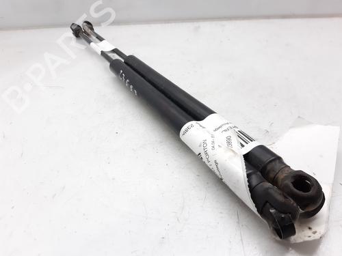 Used Tailgate lift support RENAULT SCÉNIC II (JM0/1_) 1.9 dCi (JM0G, JM12, JM1G, JM2C) (120 hp) 13999073
