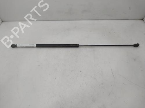Ammortizzatore cofano anteriore Ammortizzatore cofano anteriore 38317674 38317674