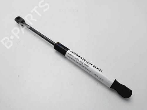 Used Hood lift support LAND ROVER RANGE ROVER EVOQUE (L538) [2011-2019]  25880295