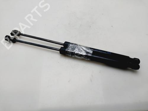 Tailgate lift support OPEL CROSSLAND X / CROSSLAND (P17, P2QO)  | BP29714206C138 