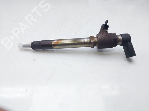 Injector LAND ROVER DISCOVERY III (L319) 2.7 TD 4x4 | BP12991157M100 