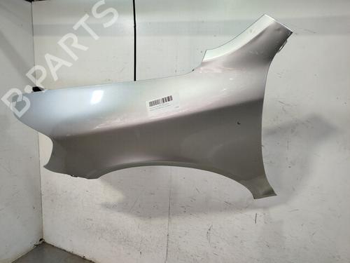 Left front fenders SKODA OCTAVIA II (1Z3) 1.6 TDI | BP25815333C41 