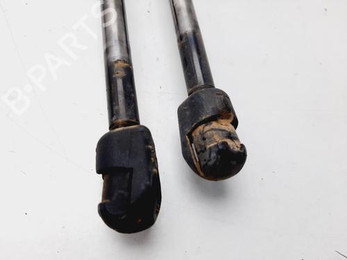 Tailgate lift support VW SHARAN (7M8, 7M9, 7M6) 1.9 TDI | BP21397143C138 