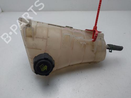 Used Expansion tank RENAULT KANGOO / GRAND KANGOO II (KW0/1_) [2008-2025]  28064172
