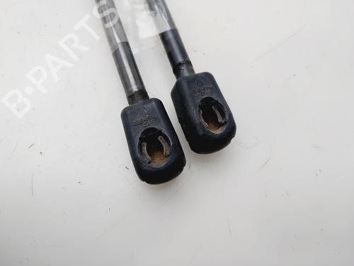 Tailgate lift support HYUNDAI i20 I (PB, PBT) | BP31116240C138