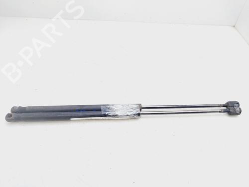 Tailgate lift support MINI MINI (R56)  | BP26121913C138 