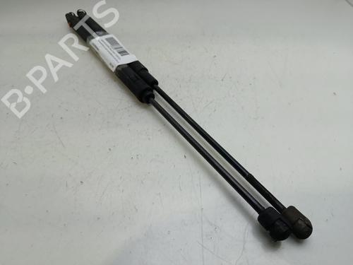 Tailgate lift support MERCEDES-BENZ C-CLASS (W203)  | BP28208315C138 