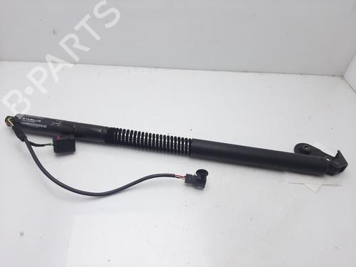 Used Tailgate lift support AUDI A6 Allroad C7 (4GH, 4GJ) 3.0 TDI quattro (218 hp) 14009472