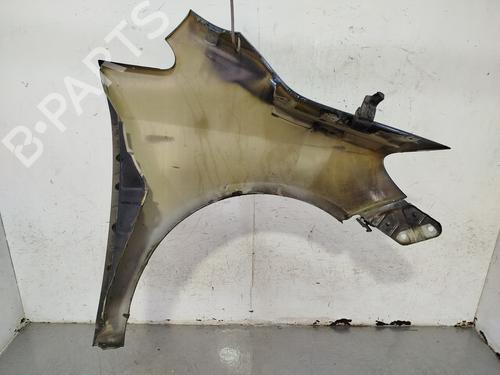 Left front fenders VW GOLF PLUS V (5M1, 521) 1.9 TDI | BP27473217C41 