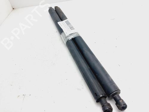 Tailgate lift support BMW X1 (F48) sDrive 16 d | BP18660132C138 