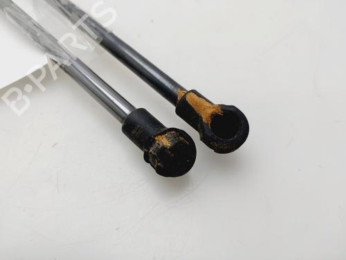 Tailgate lift support DACIA DUSTER (HM_) | BP32514920C138