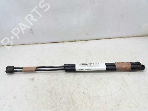 Used Tailgate lift support MITSUBISHI OUTLANDER II (CW_W) 2.0 DI-D (CW8W) (140 hp) 13991896
