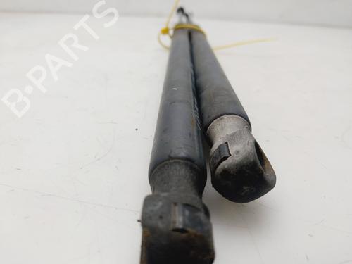 Tailgate lift support SKODA OCTAVIA II (1Z3) 1.9 TDI | BP22389608C138 