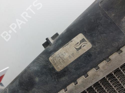 Water radiator FIAT BRAVO II (198_)  | BP29326354M31 