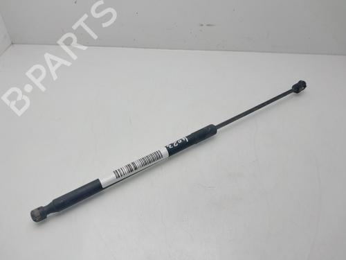 Used Hood lift support Hood lift support FORD RANGER (TKE) 2.2 TDCi 4x4 (160 hp) 34509731 34509731