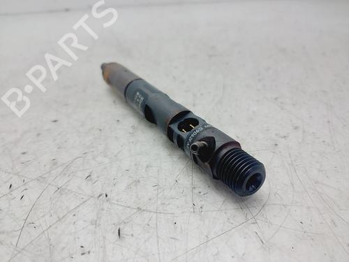Injector RENAULT KANGOO Express (FW0/1_)  | BP29820916M100
