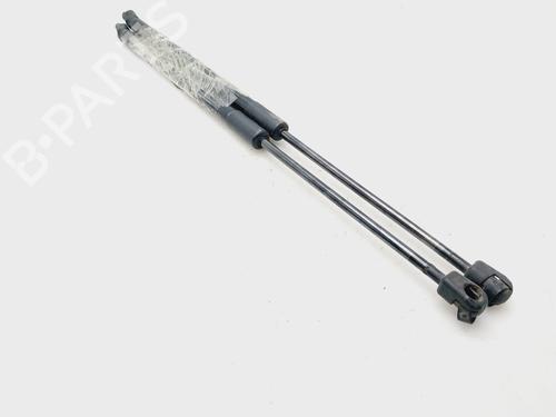 Tailgate lift support MERCEDES-BENZ B-CLASS Sports Tourer (W246, W242)  | BP24496773C138 