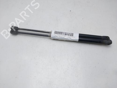 Used Tailgate lift support CHEVROLET AVEO / KALOS Hatchback (T200) 1.4 (83 hp) 17156701