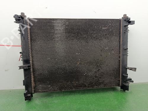 Water radiator DACIA LODGY (JS_) 1.6 LPG (JSAV) | BP32411169M31