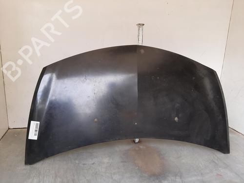 Hood RENAULT CLIO III (BR0/1, CR0/1) 1.4 16V | BP10540955C1 