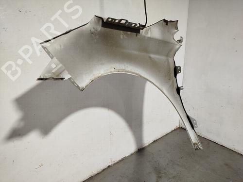 Forskærm Højre CITROËN C4 II (NC_) | BP32169360C42