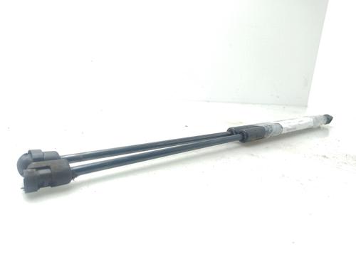 Tailgate lift support KIA CARENS II MPV (FJ)  | BP29549586C138 