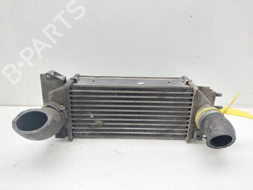 Used Intercooler LAND ROVER FREELANDER I (L314) 2.0 DI 4x4 (98 hp) 16167639