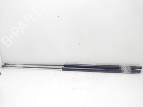 Tailgate lift support SEAT TOLEDO III (5P2)  | BP15679373C138 