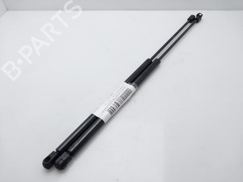 Tailgate lift support CITROËN SAXO (S0, S1) 1.5 D | BP16184191C138 