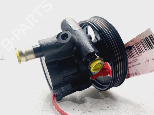 Steering pump DACIA LOGAN (LS_)  | BP29956067M99 