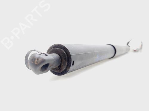 Tailgate lift support FORD KUGA III (DFK)  | BP29719385C138 