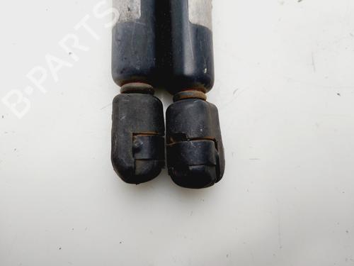 Tailgate lift support SEAT IBIZA III (6L1)  | BP29450983C138 