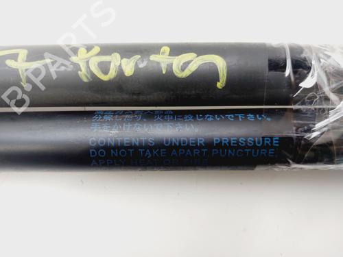 Tailgate lift support SUZUKI SWIFT III (MZ, EZ)  | BP29911109C138