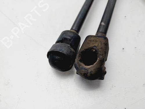 Tailgate lift support OPEL ASTRA H (A04) 1.7 CDTI (L48) | BP19328281C138 
