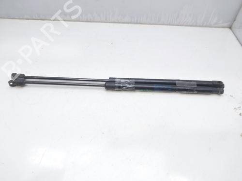 Tailgate lift support SKODA FABIA II (542)  | BP14007306C138 