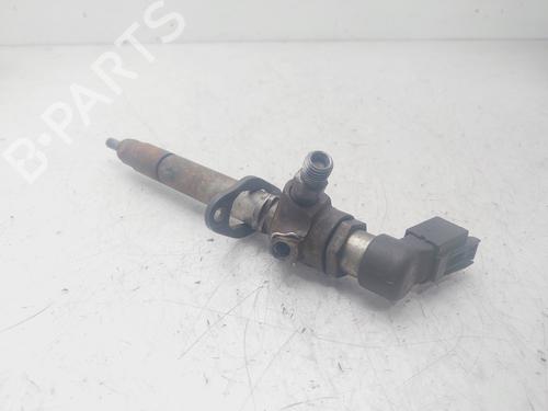 Injector LAND ROVER DISCOVERY III (L319) 2.7 TD 4x4 | BP29479793M100 