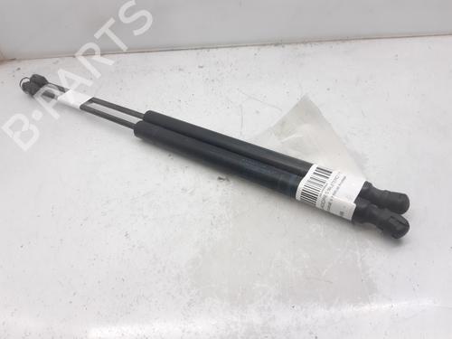Used Tailgate lift support RENAULT MEGANE II Estate (KM0/1_) 1.9 dCi (110 hp) 13998452